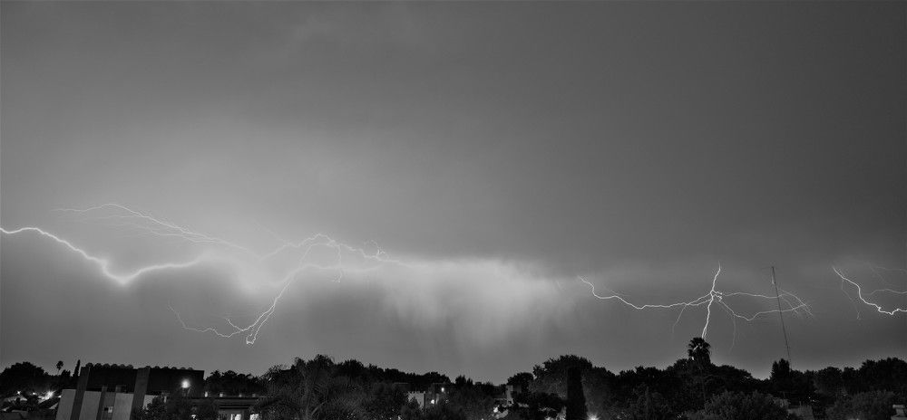 Photograph by Carlos Urrea