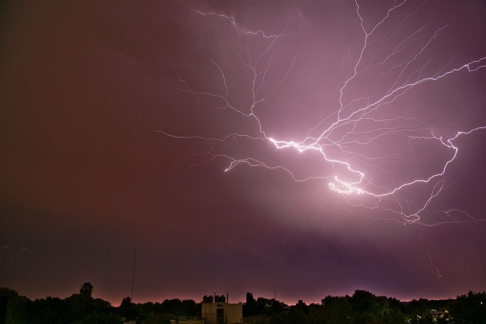 Photograph by Carlos Urrea