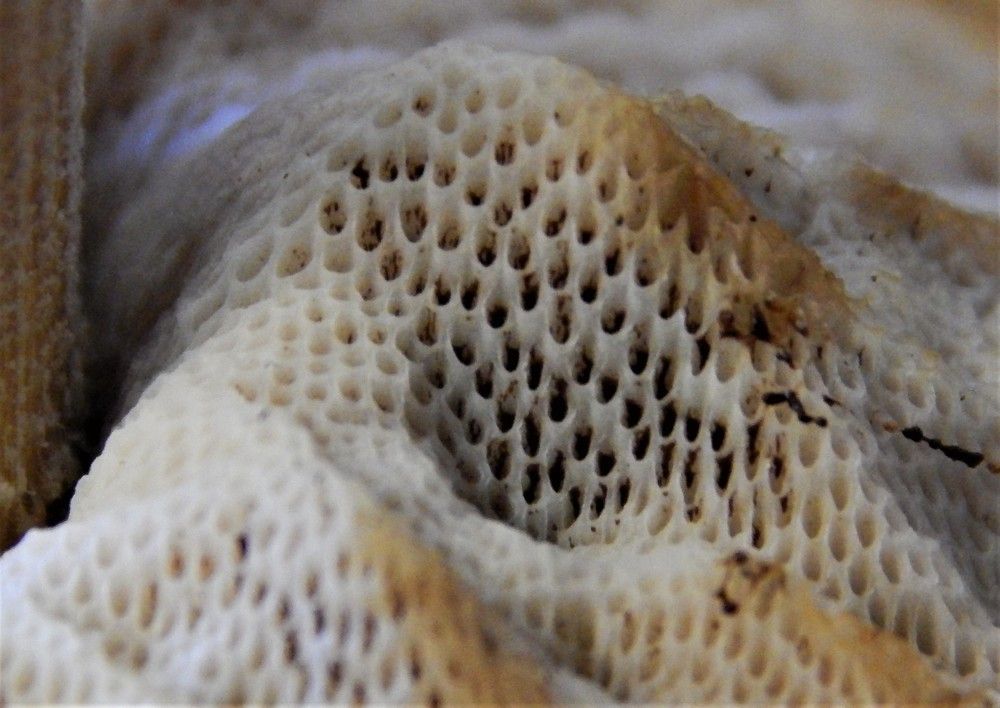 Photograph by Ирина Самойленко