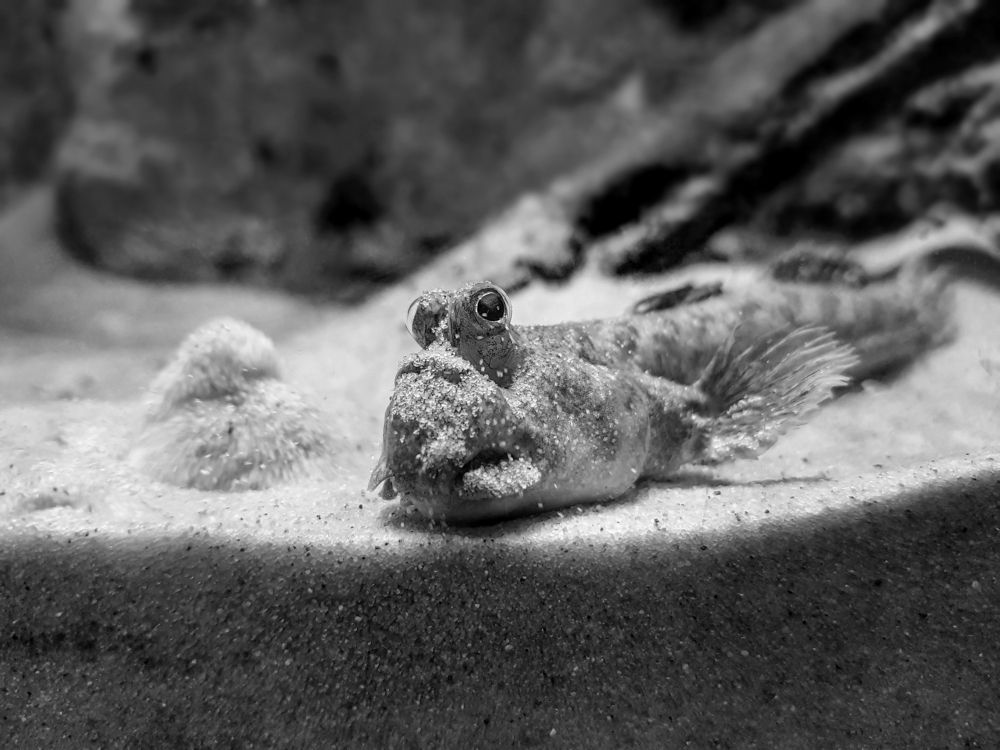 Photograph by Hriday Das