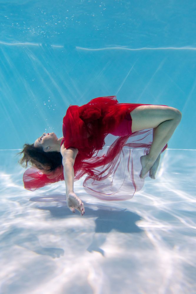 Фотография автора Елена Горох