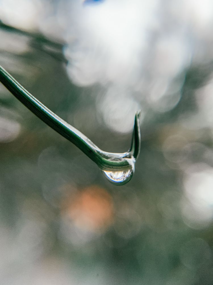 Photograph by Анна Белова