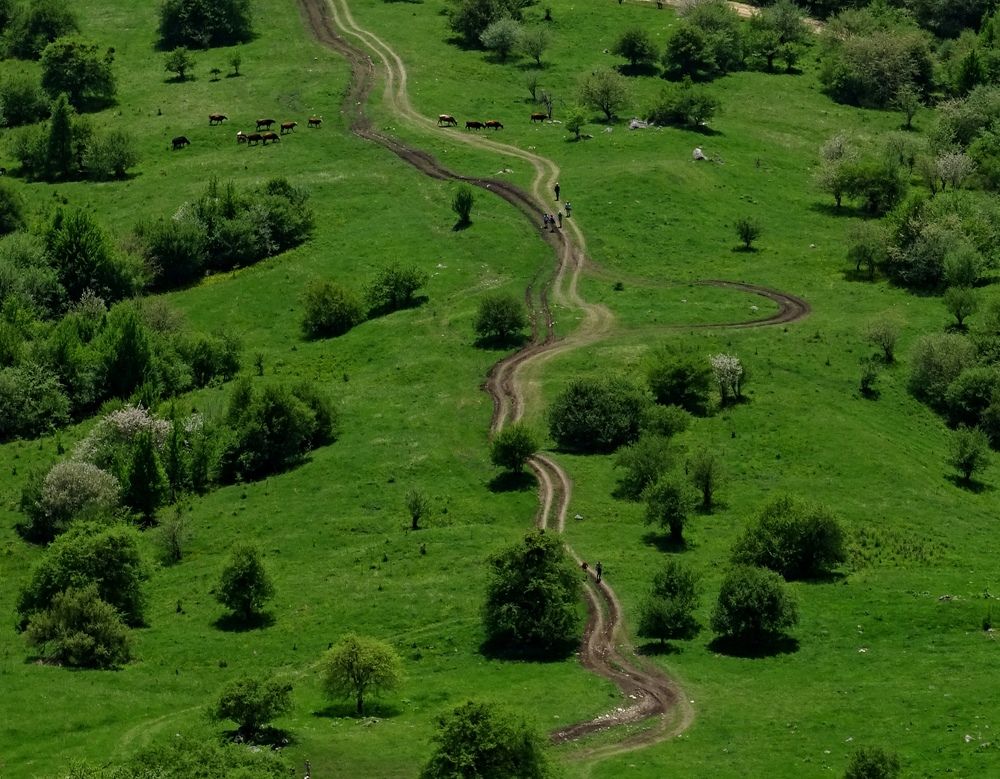 Photograph by Армен Багдасарян