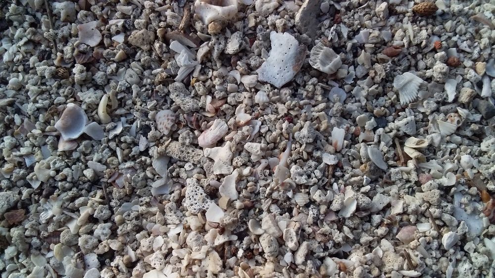 white sand
