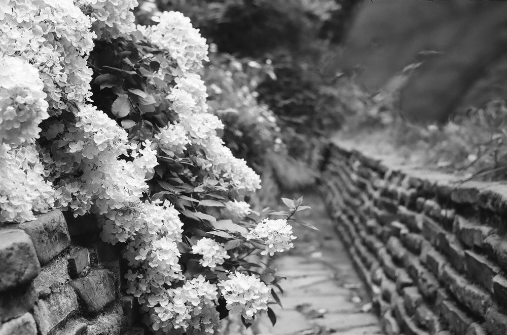 Photograph by Никита Субботин