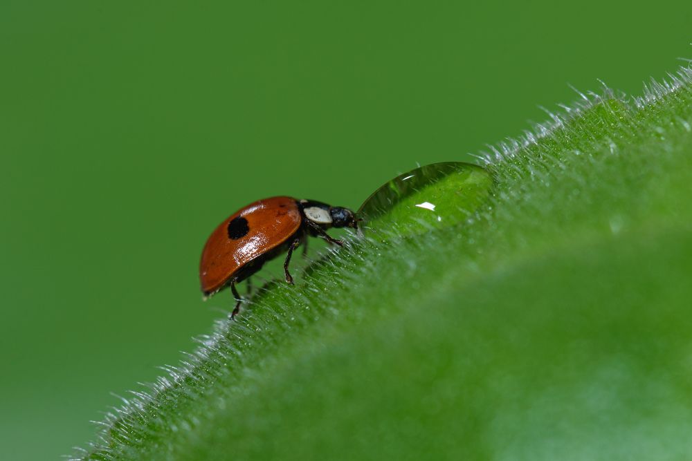 Photograph by Антон Бойков