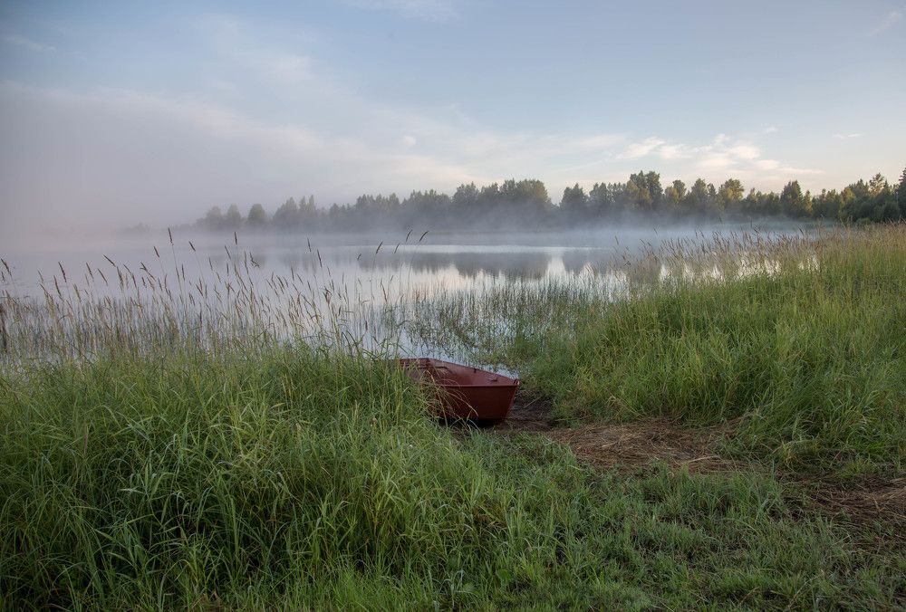 Photograph by Александра Михалева