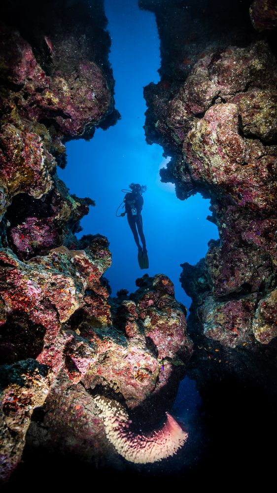 Фотография автора Sergio Agro