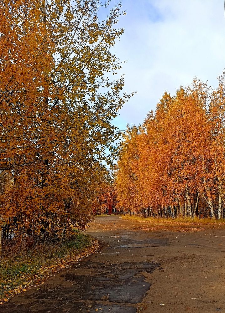 Photograph by Татьяна Власова