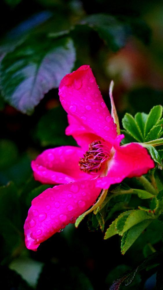 Photograph by АНДРЕЙ ОБРЯДОВ