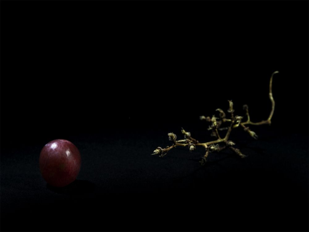 Photograph by Rox Boyer