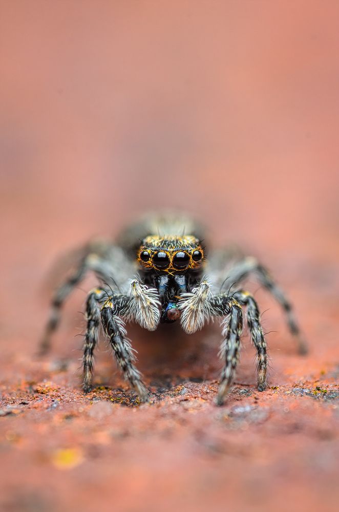 Фотография автора Сергей Чебанов