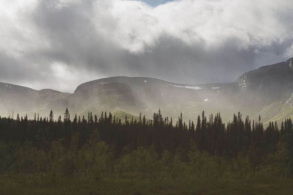 Photograph by Mitya Pylaev