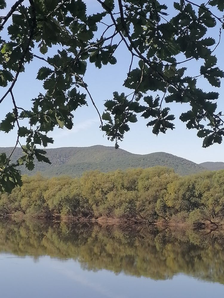 Photo #6529056