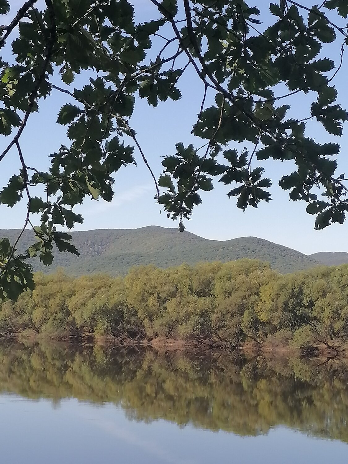 Photo #6529056
