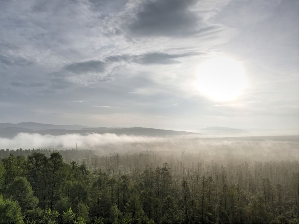 Photograph by Алексей Зайцев