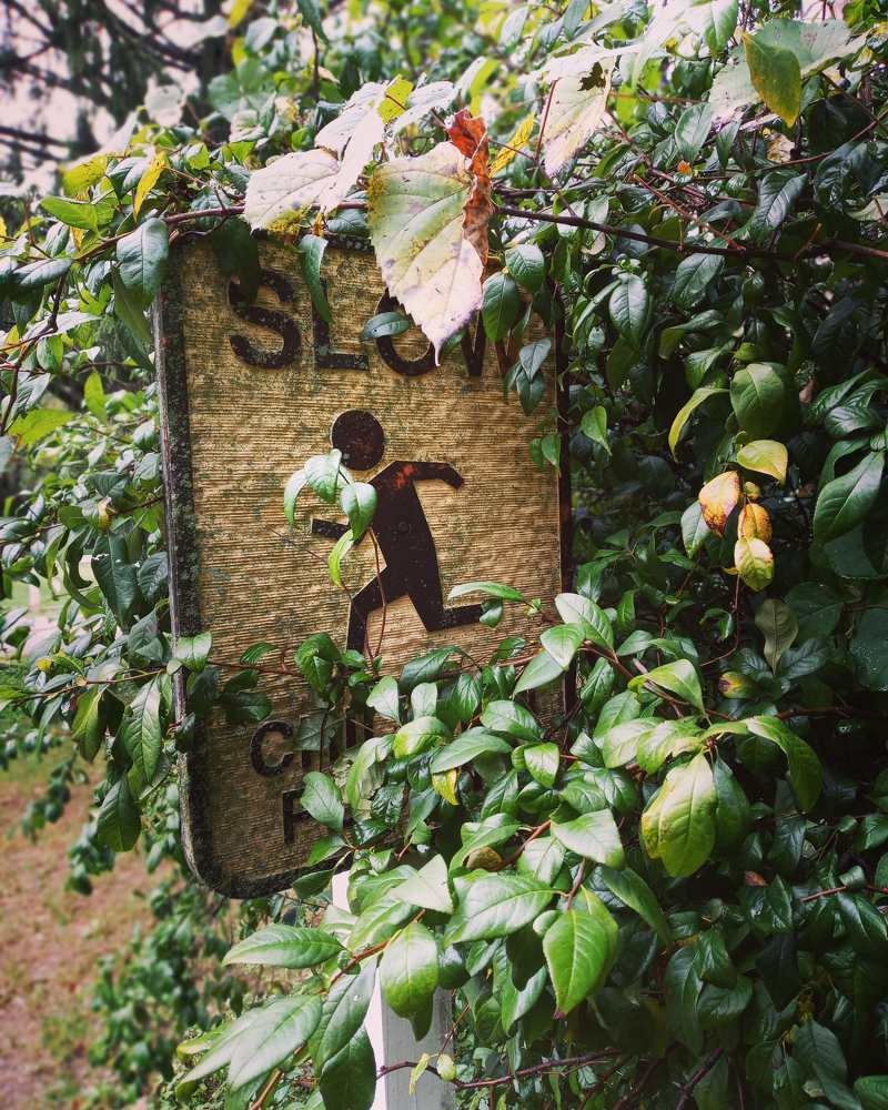 Photograph by Jason Morse