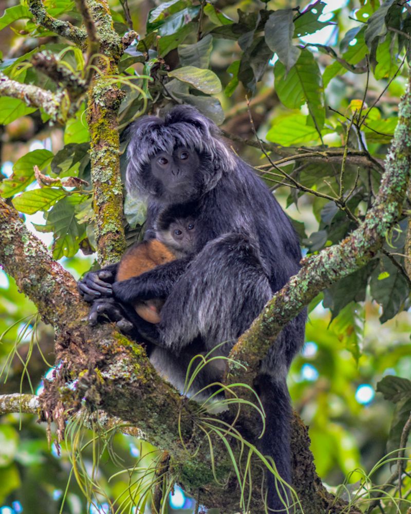 Photograph by arif indrianto