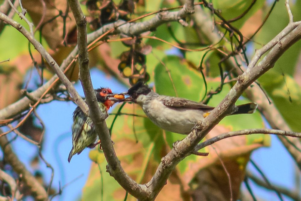 Photograph by arif indrianto