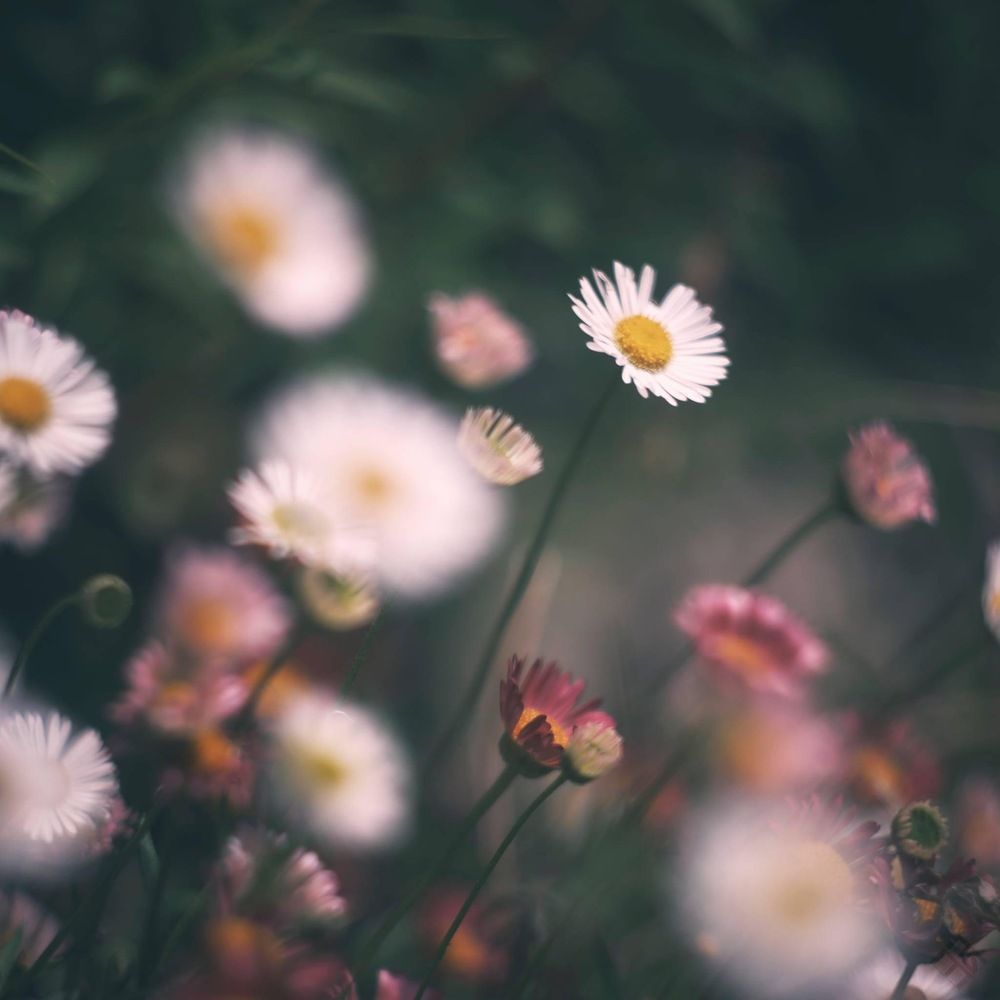 Photograph by Brian Azcueta