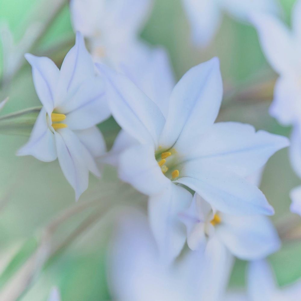 Photograph by Brian Azcueta