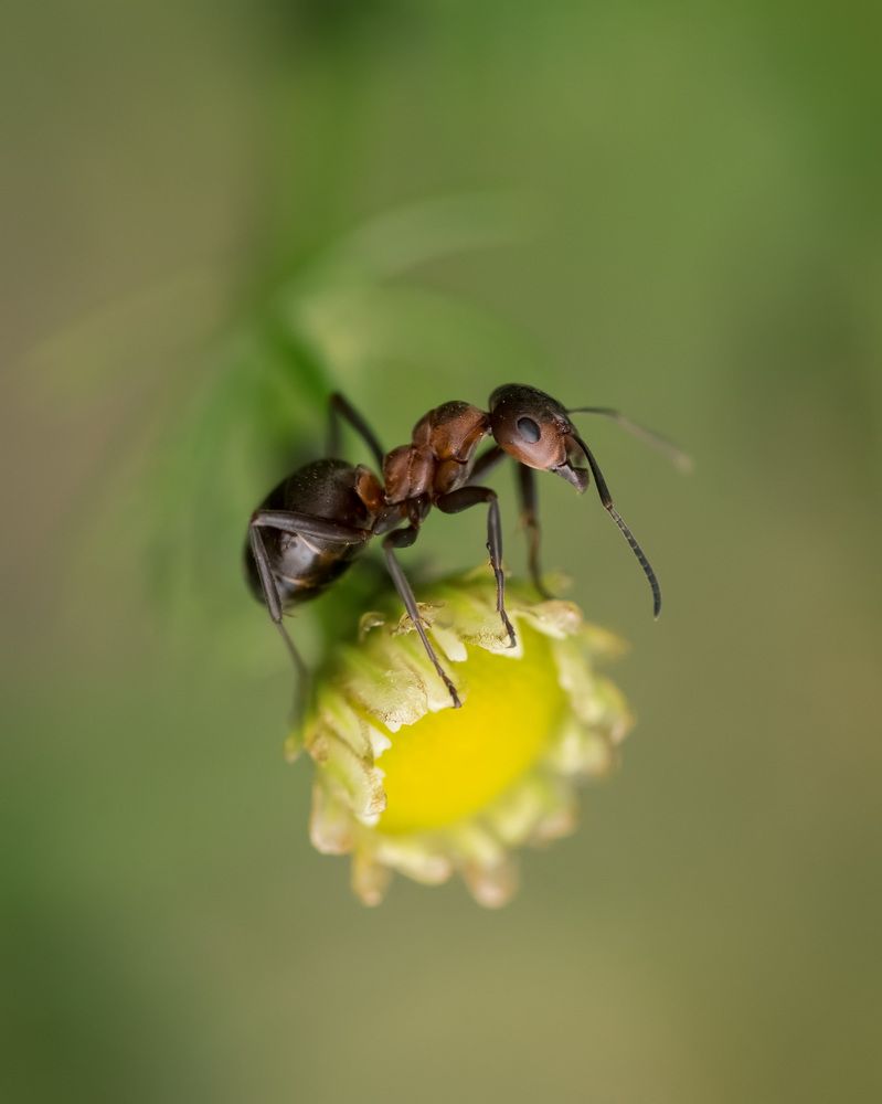 Photograph by Ольга Рагинская