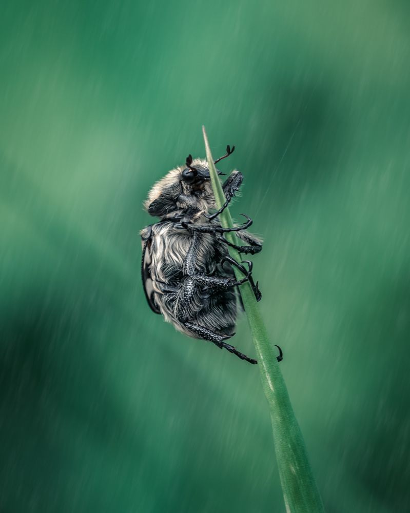 Photograph by Ольга Рагинская