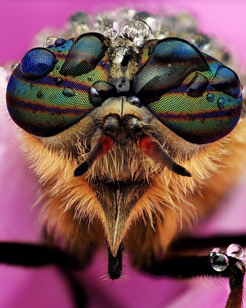 Photograph by Роман Фадеев