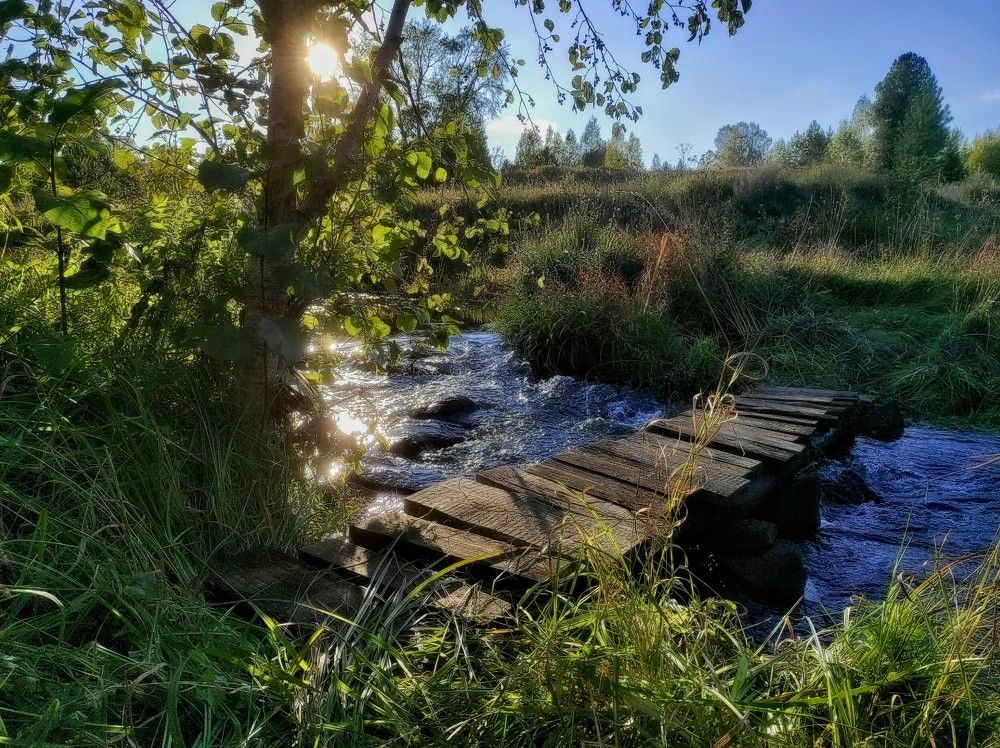 Photograph by Ирина Саттарова