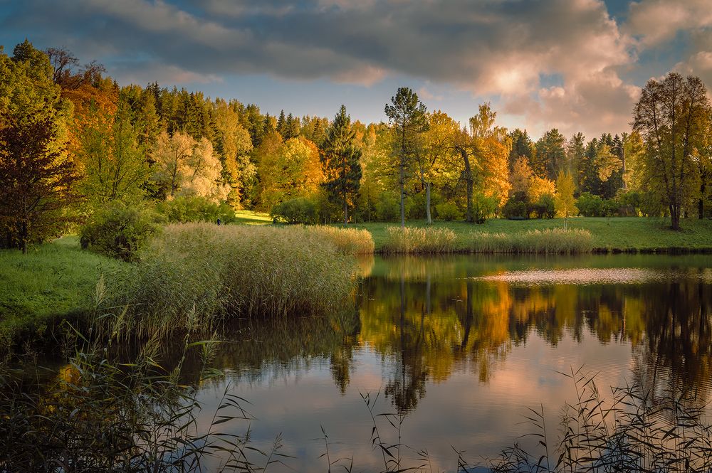 Осень в Павловском парке.