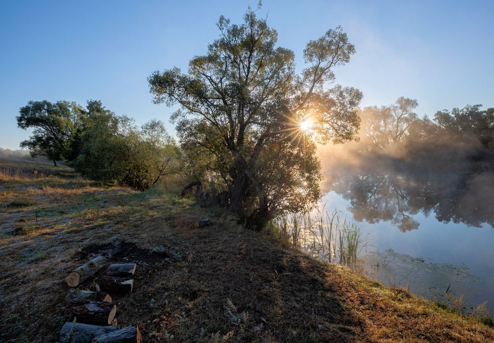 Photograph by Александр Бредихин