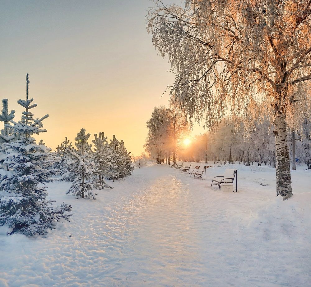 Photograph by Ольга Шаньгина