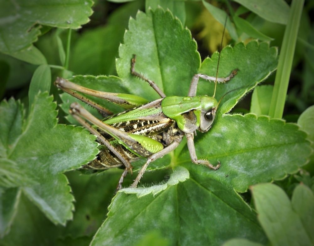 Photograph by Ольга Шаньгина