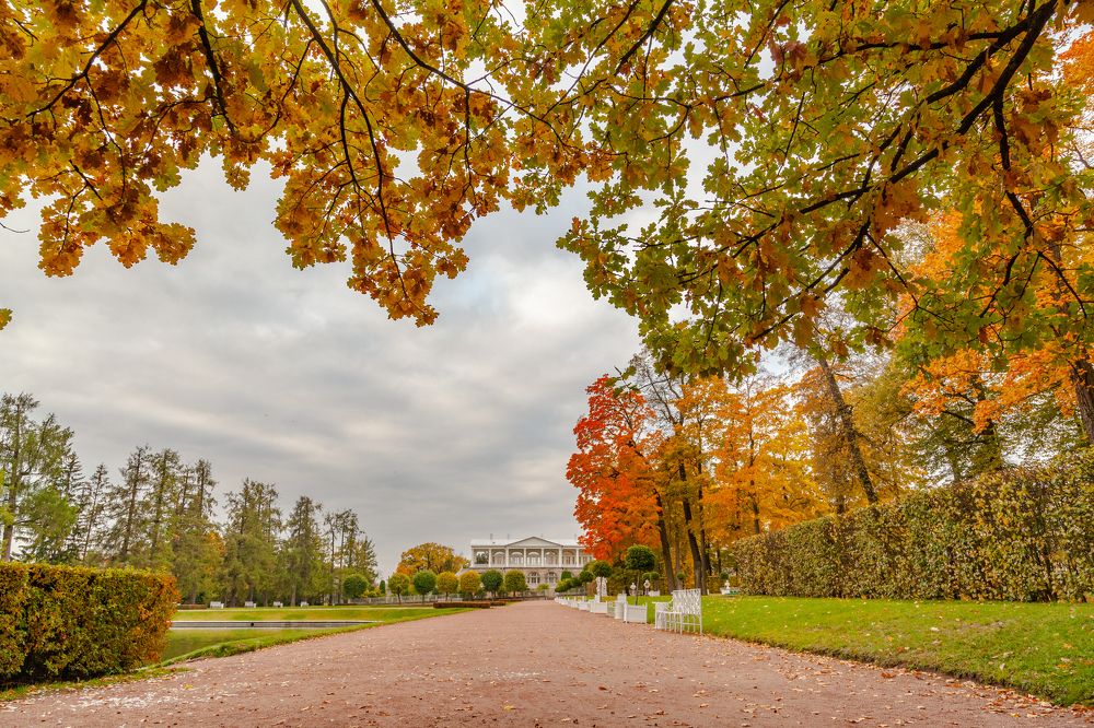 Фотография автора Анатолий Гарин