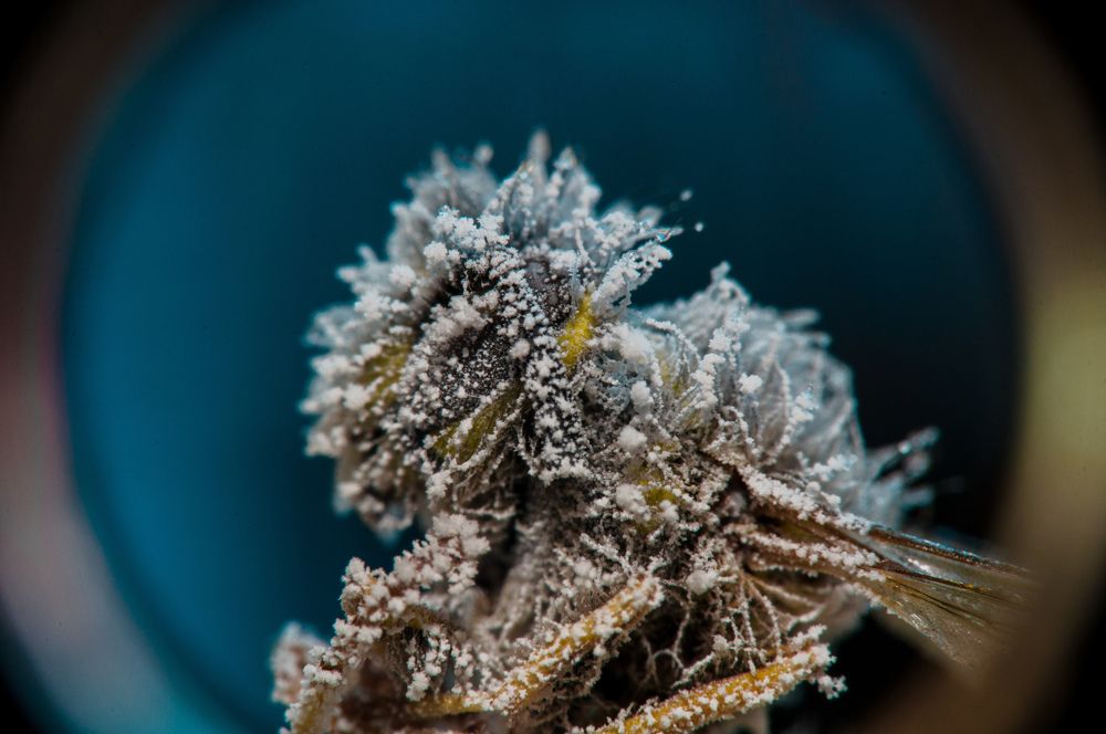 Photograph by Виктор Гуськов