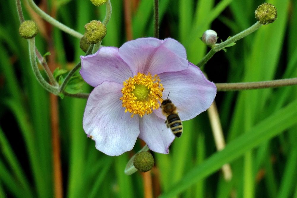 Photograph by backareva irina