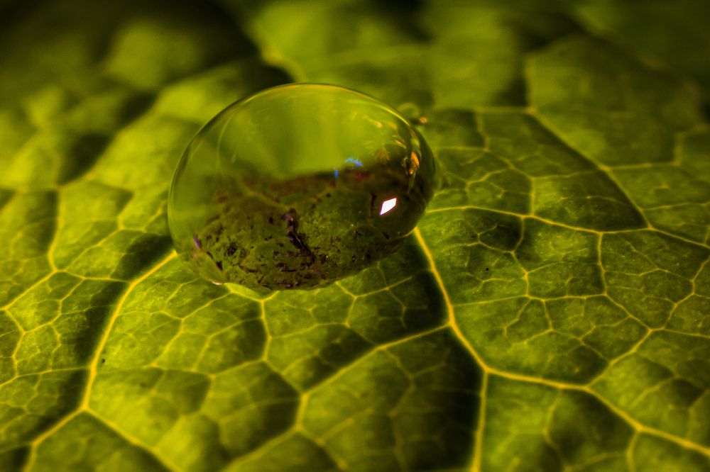 Мир внутри мира