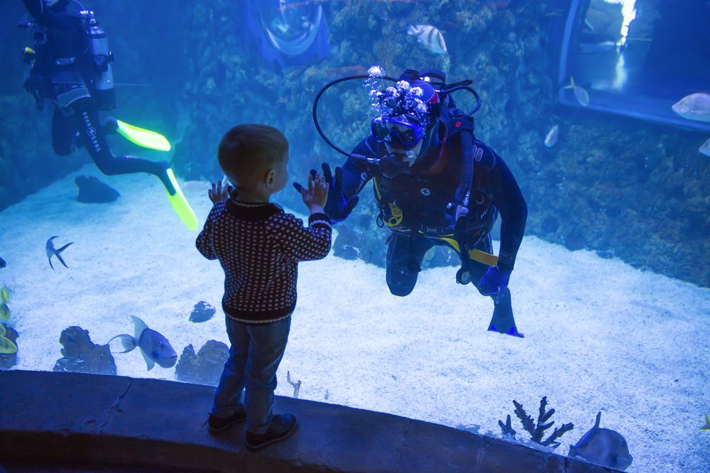 Photograph by Надежда Шелест