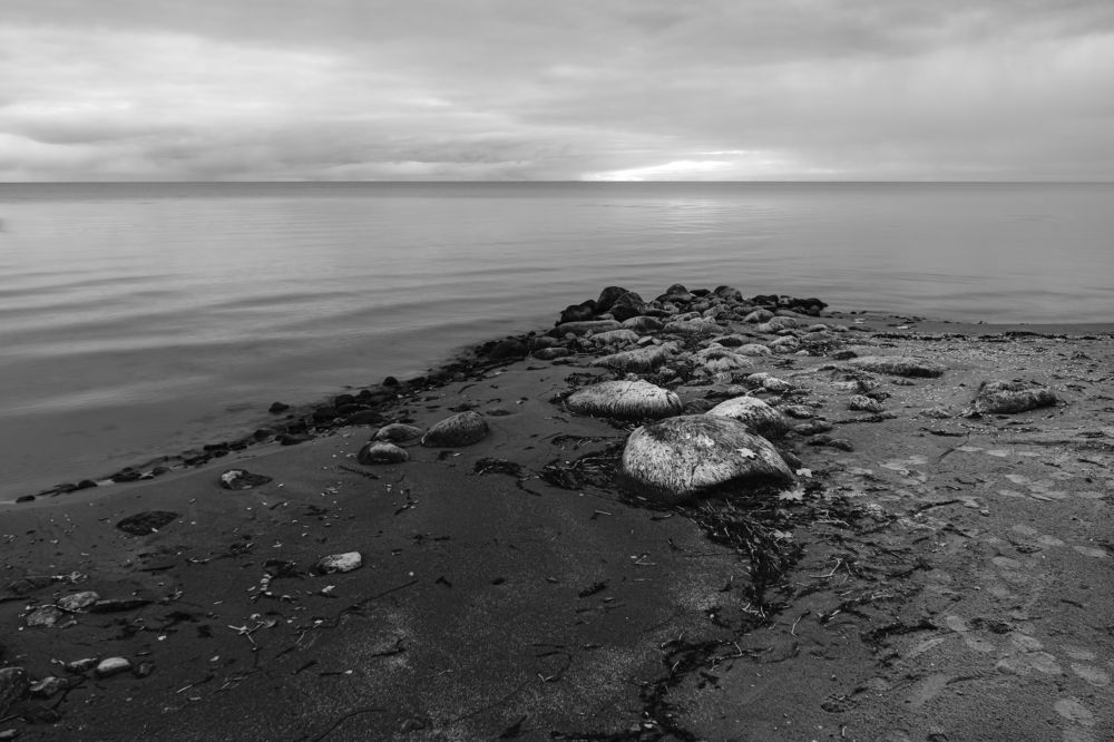 Photograph by Silja Tamme