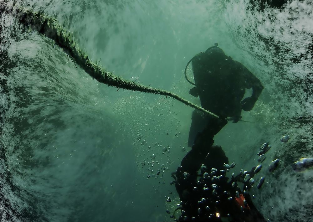 Photograph by Евгений Жиляев