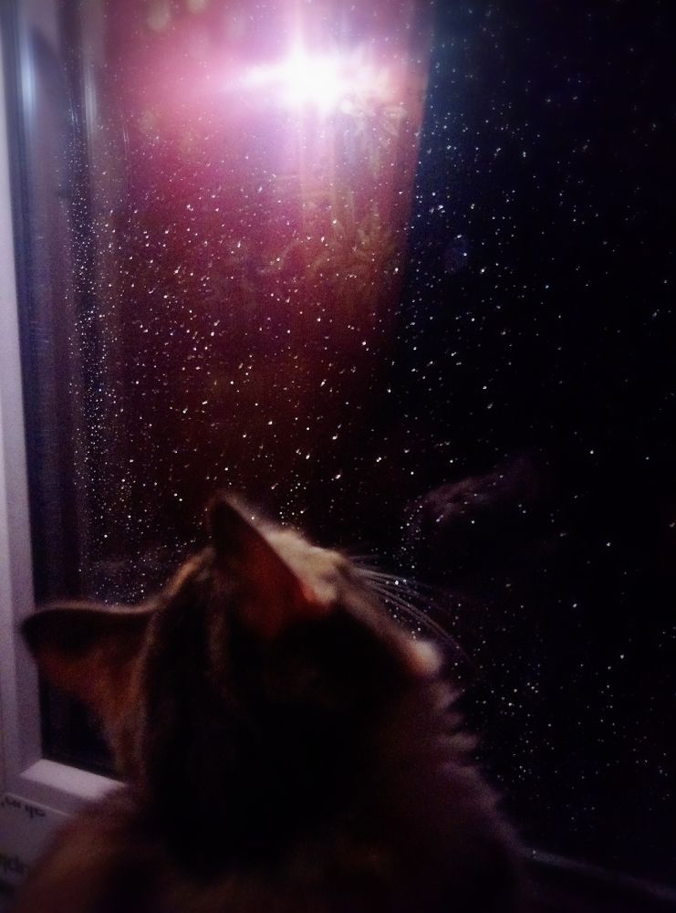 Photograph by Мария Некрасова