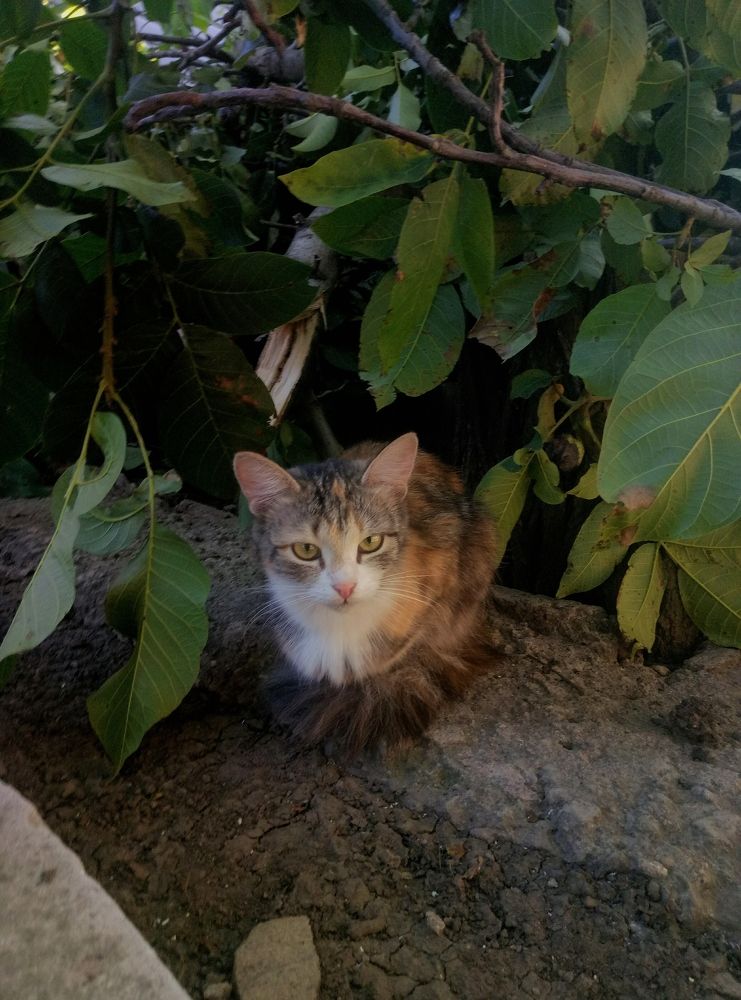 Photograph by Мария Некрасова