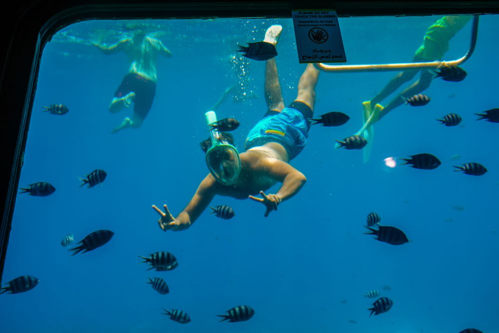 Photograph by OMAR Mourtagy Helal