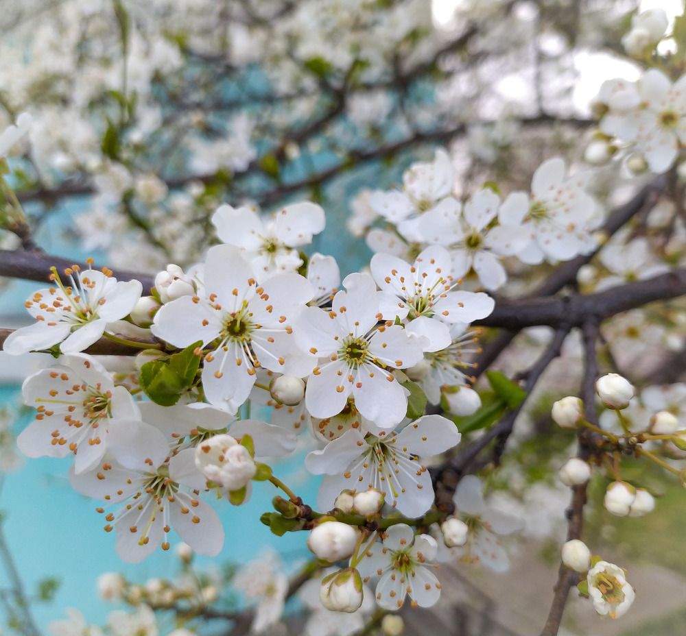 Photograph by Ирина Половцева