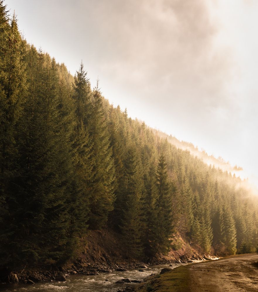 Photograph by Николай Попов