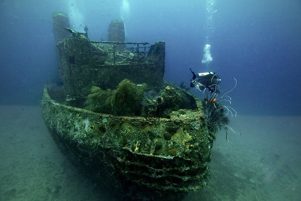 Фотография автора  Stelio