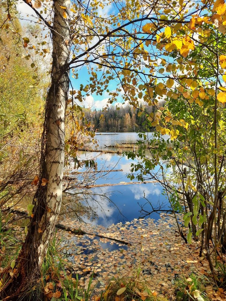 Photograph by Максим Попурий