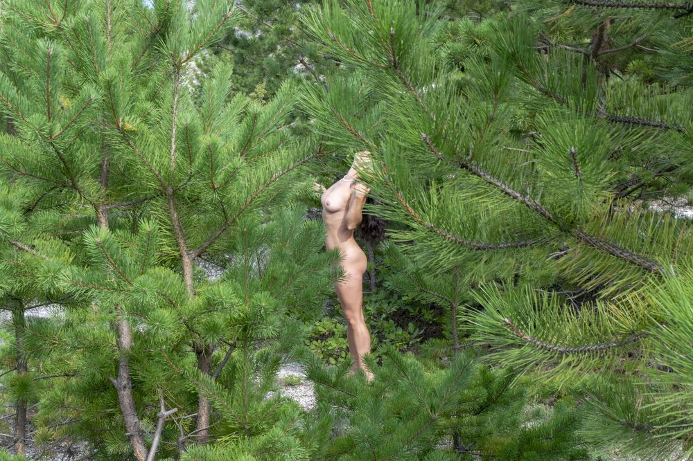 Photograph by Кривченко Павел