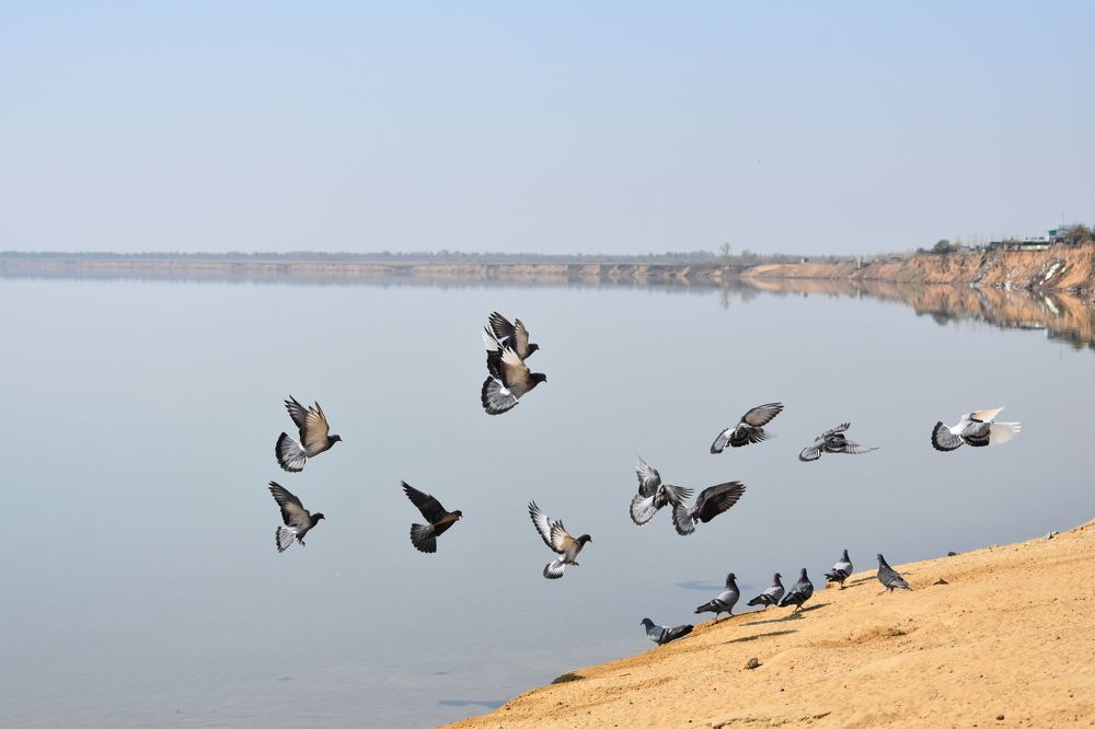 Photograph by Андрей Юденков