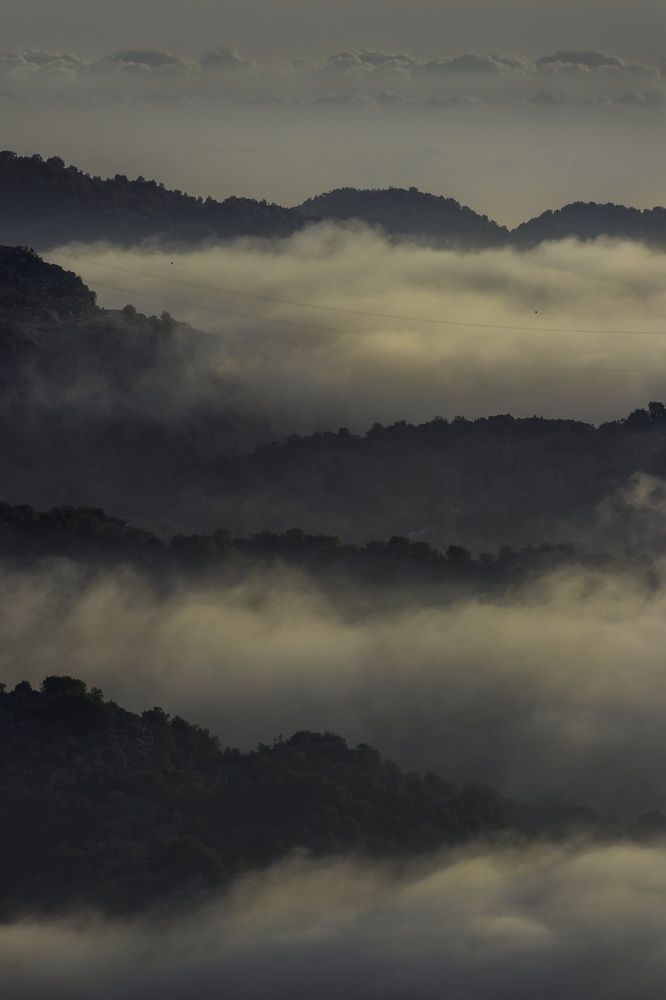 Photograph by Jad Kassem